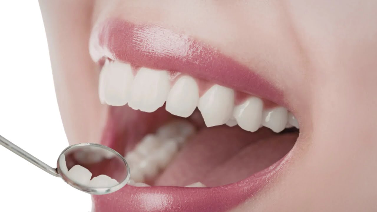 Lake Magdalene Dental - When Should I Schedule a Dental Checkup?
